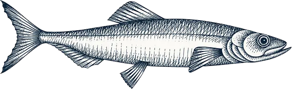 Fish 1